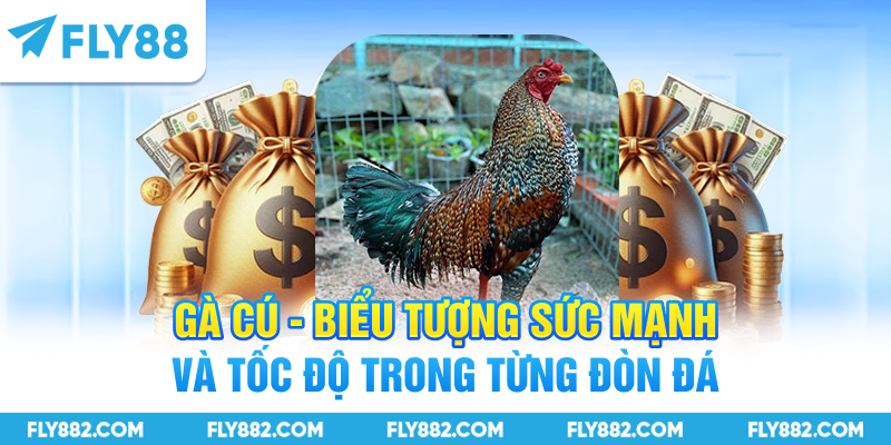 Gà Cú - Biểu Tượng Sức Mạnh Và Tốc Độ Trong Từng Đòn Đá